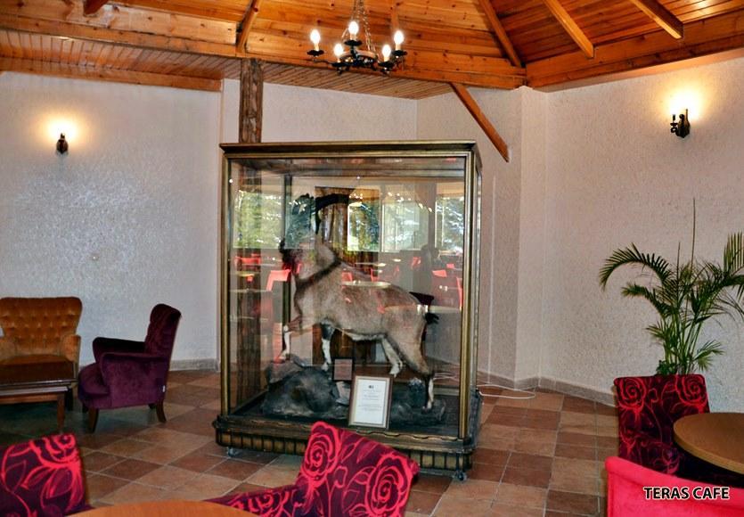 Patalya Thermal Resort Hotel Kızılcahamam Extérieur photo